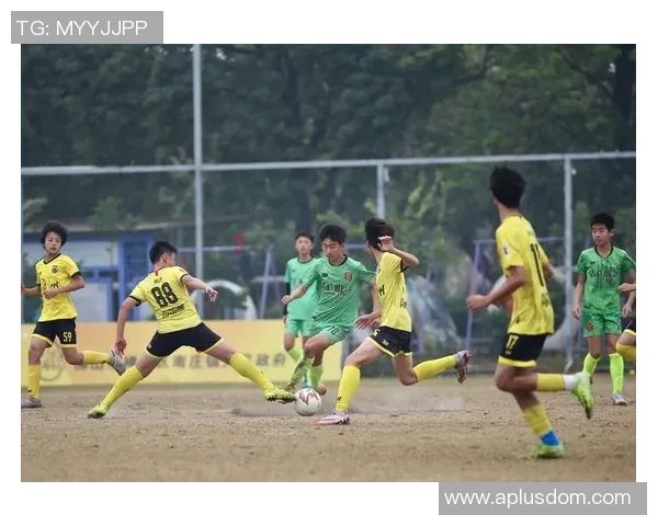 武汉足球队的拼搏之路：城市联赛中的荣耀与挑战