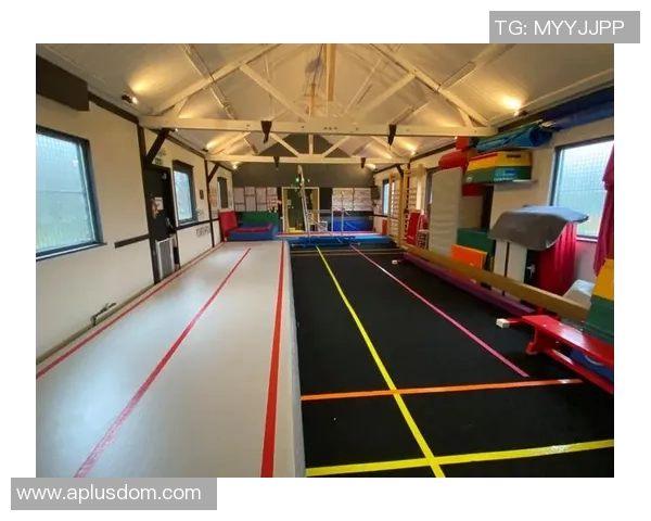 足球巨献：探秘南京足球队的耐力